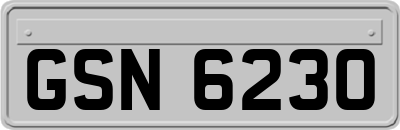 GSN6230