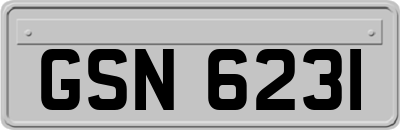 GSN6231