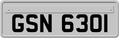 GSN6301