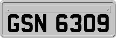 GSN6309