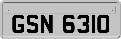 GSN6310