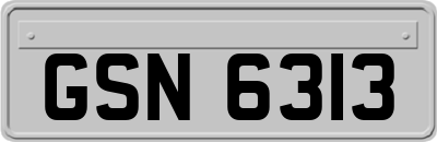 GSN6313