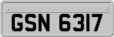 GSN6317