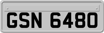 GSN6480