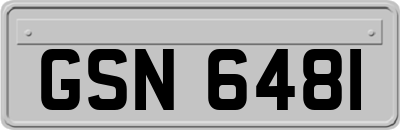 GSN6481