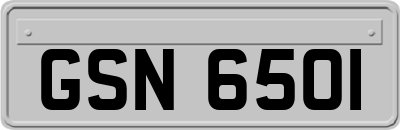 GSN6501