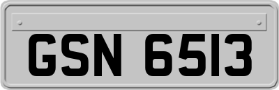 GSN6513