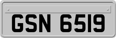 GSN6519
