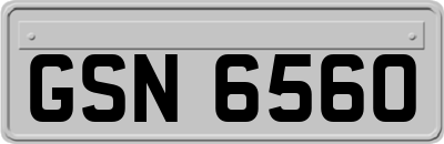 GSN6560
