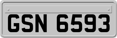 GSN6593