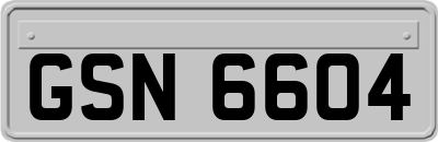 GSN6604