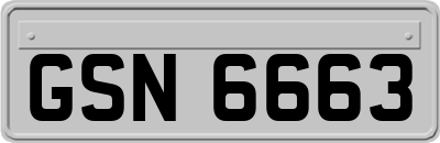 GSN6663