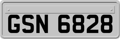 GSN6828