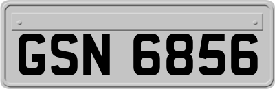 GSN6856