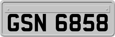 GSN6858