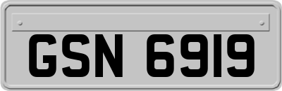 GSN6919