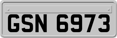 GSN6973