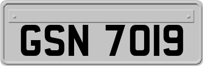 GSN7019