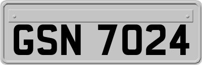 GSN7024