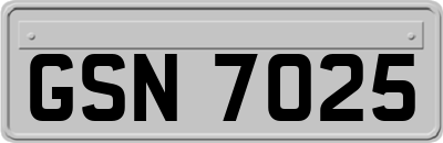 GSN7025