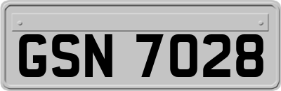 GSN7028