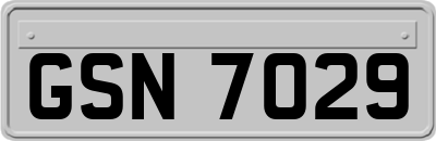 GSN7029