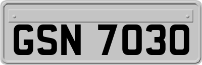 GSN7030