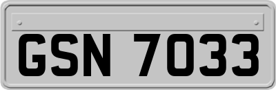 GSN7033