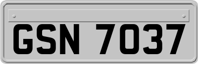 GSN7037