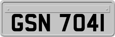 GSN7041