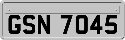 GSN7045