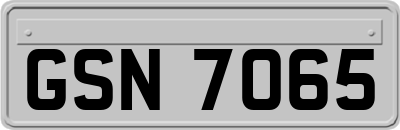 GSN7065