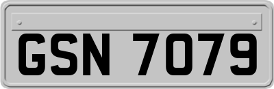 GSN7079