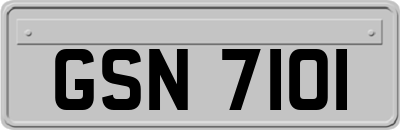 GSN7101
