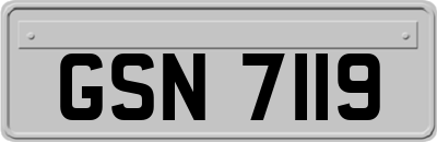 GSN7119
