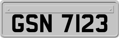 GSN7123
