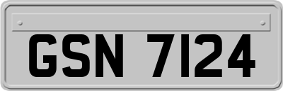 GSN7124