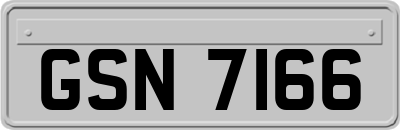 GSN7166