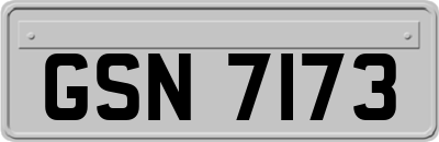 GSN7173