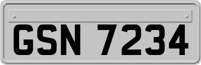 GSN7234