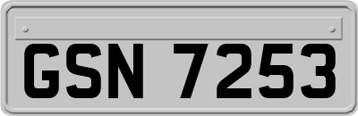 GSN7253