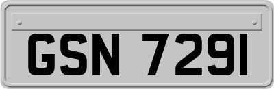 GSN7291