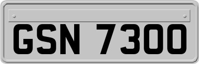 GSN7300