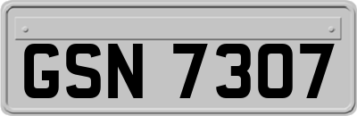 GSN7307