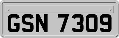 GSN7309
