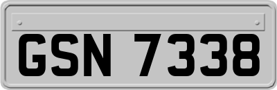 GSN7338