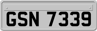 GSN7339