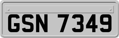 GSN7349