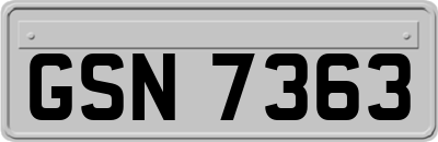 GSN7363