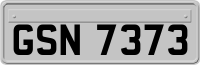 GSN7373